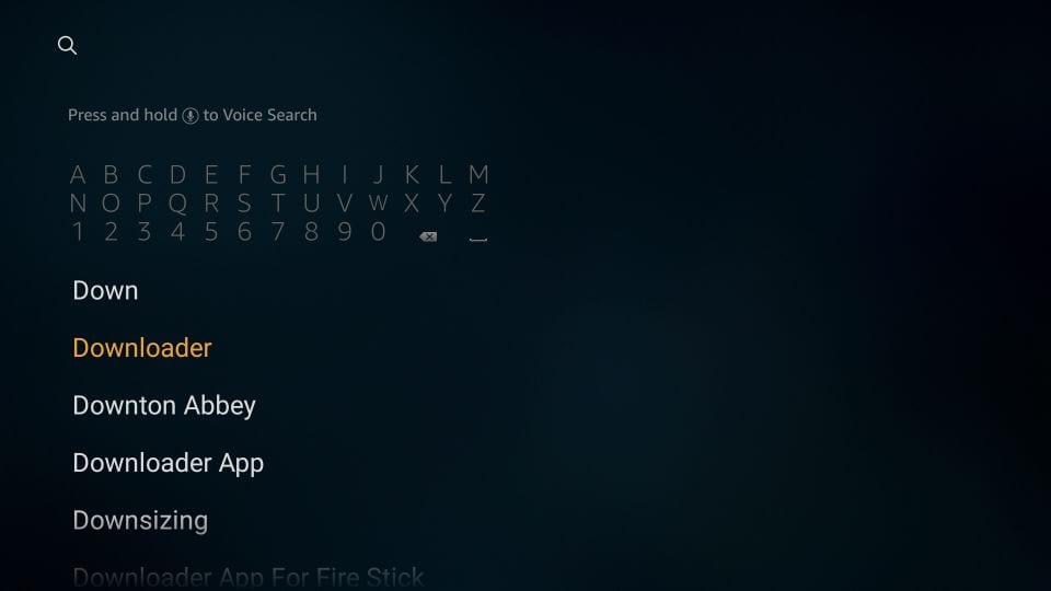 Step 1: Find the Downloader app